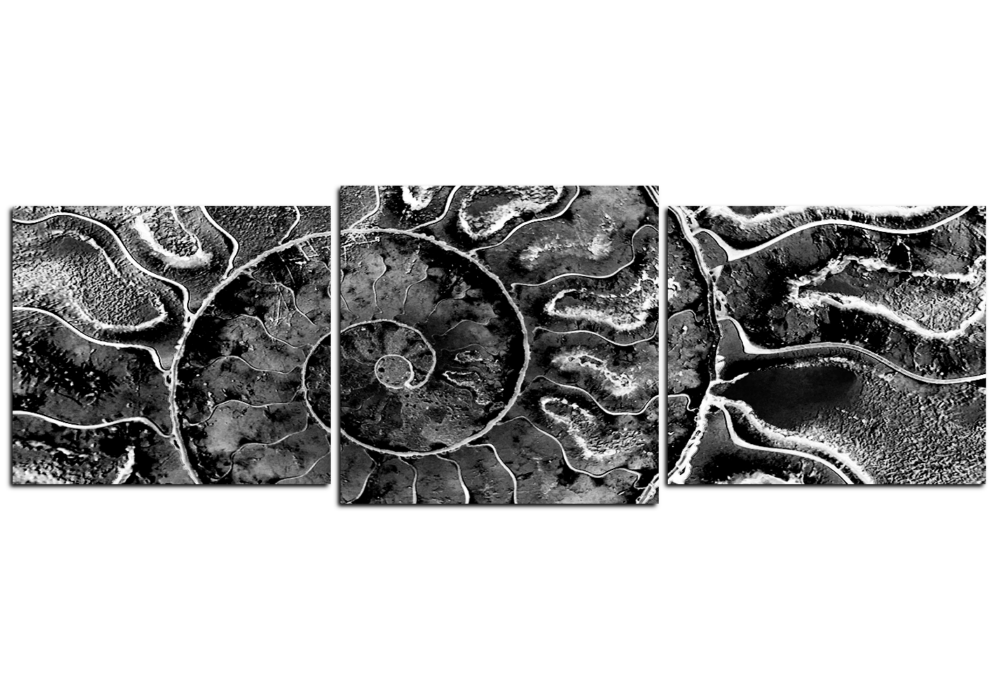 Obraz na plátně - Textura fosílie - panoráma Obraz na plátně - Textura fosílie - panoráma